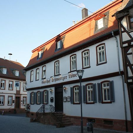 Hotel Schwartzer Loewe Babenhausen  Εξωτερικό φωτογραφία
