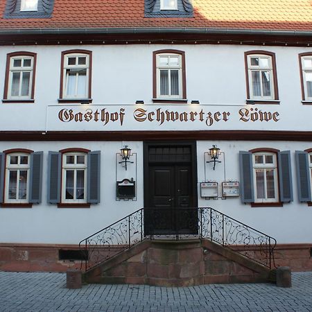 Hotel Schwartzer Loewe Babenhausen  Εξωτερικό φωτογραφία