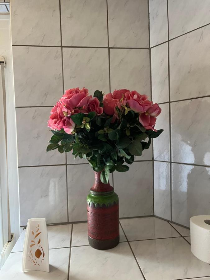 Hotel Schwartzer Loewe Babenhausen  Εξωτερικό φωτογραφία