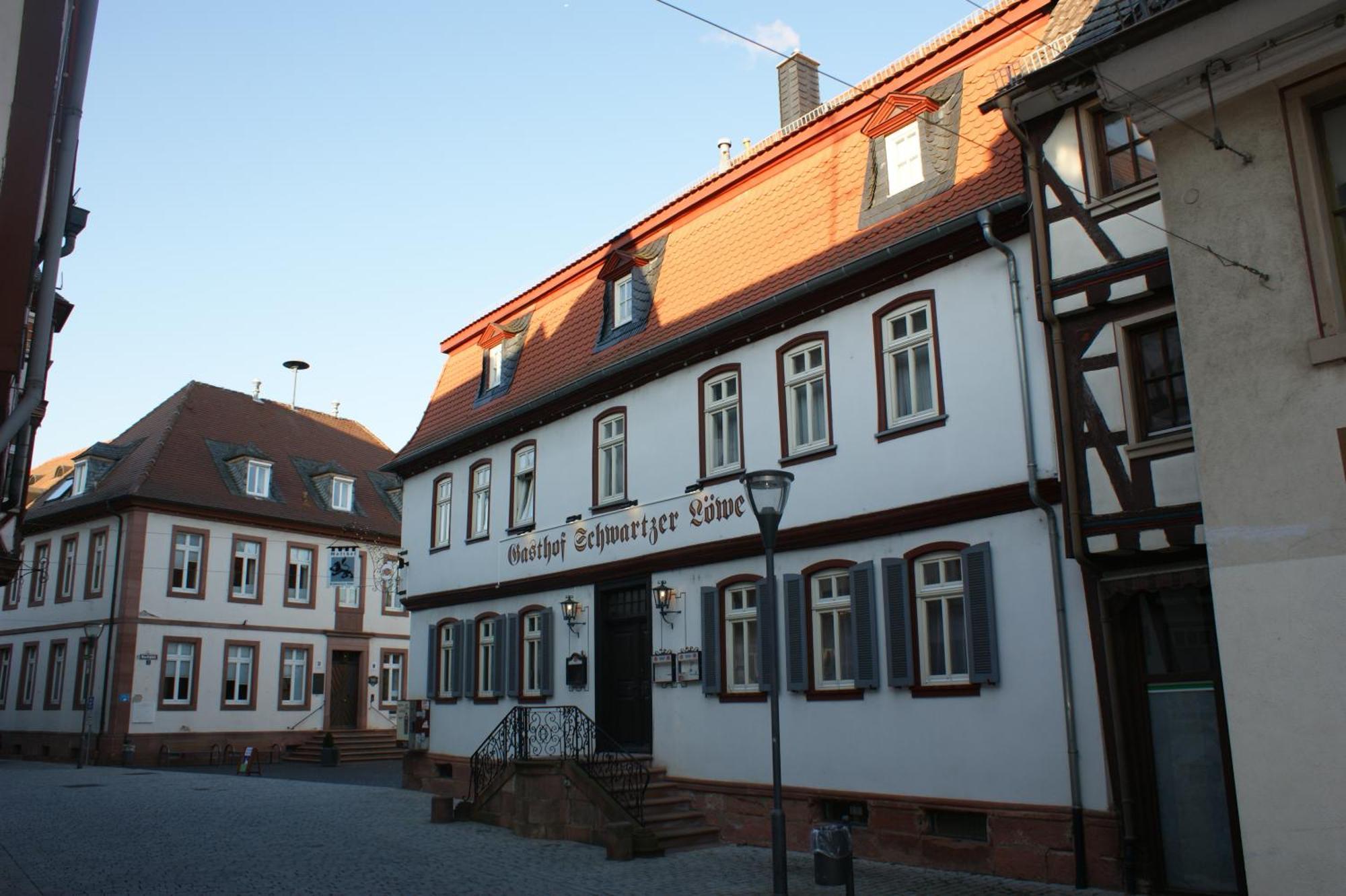 Hotel Schwartzer Loewe Babenhausen  Εξωτερικό φωτογραφία