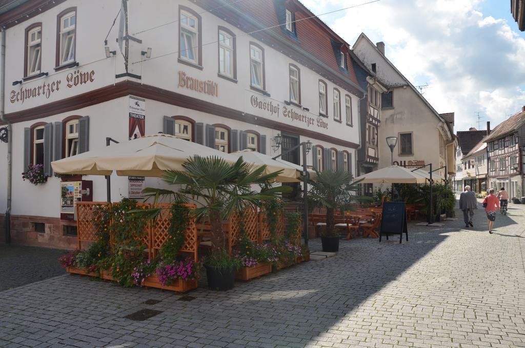 Hotel Schwartzer Loewe Babenhausen  Εξωτερικό φωτογραφία