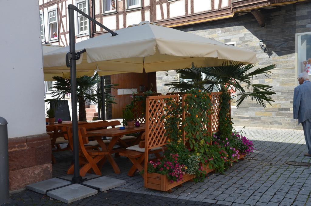 Hotel Schwartzer Loewe Babenhausen  Εξωτερικό φωτογραφία